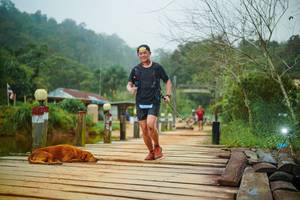 BIB: 
                            <button type="button" onclick="openModal(25157422)" class="btn btn-primary btn-sm float-right btn-popup" data-toggle="modal" data-target=".modal-high-quality">
                        <i class="fas fa-shopping-cart"></i> Add to Cart
                    </button>
                                            <button type="button" onclick="isThisMe(25157422, true)" class="btn btn-success btn-sm float-right btn-popup btn-isme hidden" data-toggle="tooltip" data-placement="bottom" title="นี่คือรูปของคุณใช่ไหม คลิกที่นี่เพื่อเอาเข้าอัลบั้ม">
                        <i class="fas fa-plus"></i> Add to album
                    </button>
                    <button type="button" onclick="isThisMe(25157422, false)" class="btn btn-warning btn-sm float-right btn-popup btn-isnotme hidden">
                        <i class="fas fa-ban"></i> Remove from album
                    </button>