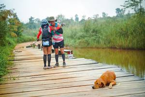 BIB: 
                            <button type="button" onclick="openModal(25129314)" class="btn btn-primary btn-sm float-right btn-popup" data-toggle="modal" data-target=".modal-high-quality">
                        <i class="fas fa-shopping-cart"></i> Add to Cart
                    </button>
                                            <button type="button" onclick="isThisMe(25129314, true)" class="btn btn-success btn-sm float-right btn-popup btn-isme hidden" data-toggle="tooltip" data-placement="bottom" title="นี่คือรูปของคุณใช่ไหม คลิกที่นี่เพื่อเอาเข้าอัลบั้ม">
                        <i class="fas fa-plus"></i> Add to album
                    </button>
                    <button type="button" onclick="isThisMe(25129314, false)" class="btn btn-warning btn-sm float-right btn-popup btn-isnotme hidden">
                        <i class="fas fa-ban"></i> Remove from album
                    </button>