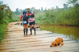 BIB: 
                            <button type="button" onclick="openModal(25129412)" class="btn btn-primary btn-sm float-right btn-popup" data-toggle="modal" data-target=".modal-high-quality">
                        <i class="fas fa-shopping-cart"></i> Add to Cart
                    </button>
                                            <button type="button" onclick="isThisMe(25129412, true)" class="btn btn-success btn-sm float-right btn-popup btn-isme hidden" data-toggle="tooltip" data-placement="bottom" title="นี่คือรูปของคุณใช่ไหม คลิกที่นี่เพื่อเอาเข้าอัลบั้ม">
                        <i class="fas fa-plus"></i> Add to album
                    </button>
                    <button type="button" onclick="isThisMe(25129412, false)" class="btn btn-warning btn-sm float-right btn-popup btn-isnotme hidden">
                        <i class="fas fa-ban"></i> Remove from album
                    </button>