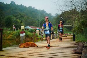 BIB: 
                            <button type="button" onclick="openModal(25158220)" class="btn btn-primary btn-sm float-right btn-popup" data-toggle="modal" data-target=".modal-high-quality">
                        <i class="fas fa-shopping-cart"></i> Add to Cart
                    </button>
                                            <button type="button" onclick="isThisMe(25158220, true)" class="btn btn-success btn-sm float-right btn-popup btn-isme hidden" data-toggle="tooltip" data-placement="bottom" title="นี่คือรูปของคุณใช่ไหม คลิกที่นี่เพื่อเอาเข้าอัลบั้ม">
                        <i class="fas fa-plus"></i> Add to album
                    </button>
                    <button type="button" onclick="isThisMe(25158220, false)" class="btn btn-warning btn-sm float-right btn-popup btn-isnotme hidden">
                        <i class="fas fa-ban"></i> Remove from album
                    </button>