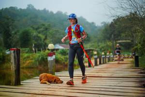 BIB: 
                            <button type="button" onclick="openModal(25113910)" class="btn btn-primary btn-sm float-right btn-popup" data-toggle="modal" data-target=".modal-high-quality">
                        <i class="fas fa-shopping-cart"></i> Add to Cart
                    </button>
                                            <button type="button" onclick="isThisMe(25113910, true)" class="btn btn-success btn-sm float-right btn-popup btn-isme hidden" data-toggle="tooltip" data-placement="bottom" title="นี่คือรูปของคุณใช่ไหม คลิกที่นี่เพื่อเอาเข้าอัลบั้ม">
                        <i class="fas fa-plus"></i> Add to album
                    </button>
                    <button type="button" onclick="isThisMe(25113910, false)" class="btn btn-warning btn-sm float-right btn-popup btn-isnotme hidden">
                        <i class="fas fa-ban"></i> Remove from album
                    </button>