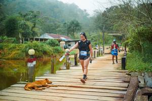 BIB: 
                            <button type="button" onclick="openModal(25159619)" class="btn btn-primary btn-sm float-right btn-popup" data-toggle="modal" data-target=".modal-high-quality">
                        <i class="fas fa-shopping-cart"></i> Add to Cart
                    </button>
                                            <button type="button" onclick="isThisMe(25159619, true)" class="btn btn-success btn-sm float-right btn-popup btn-isme hidden" data-toggle="tooltip" data-placement="bottom" title="นี่คือรูปของคุณใช่ไหม คลิกที่นี่เพื่อเอาเข้าอัลบั้ม">
                        <i class="fas fa-plus"></i> Add to album
                    </button>
                    <button type="button" onclick="isThisMe(25159619, false)" class="btn btn-warning btn-sm float-right btn-popup btn-isnotme hidden">
                        <i class="fas fa-ban"></i> Remove from album
                    </button>