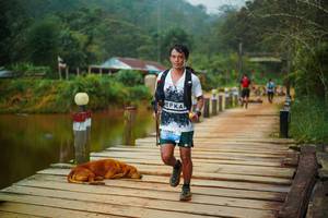 BIB: 
                            <button type="button" onclick="openModal(25158551)" class="btn btn-primary btn-sm float-right btn-popup" data-toggle="modal" data-target=".modal-high-quality">
                        <i class="fas fa-shopping-cart"></i> Add to Cart
                    </button>
                                            <button type="button" onclick="isThisMe(25158551, true)" class="btn btn-success btn-sm float-right btn-popup btn-isme hidden" data-toggle="tooltip" data-placement="bottom" title="นี่คือรูปของคุณใช่ไหม คลิกที่นี่เพื่อเอาเข้าอัลบั้ม">
                        <i class="fas fa-plus"></i> Add to album
                    </button>
                    <button type="button" onclick="isThisMe(25158551, false)" class="btn btn-warning btn-sm float-right btn-popup btn-isnotme hidden">
                        <i class="fas fa-ban"></i> Remove from album
                    </button>