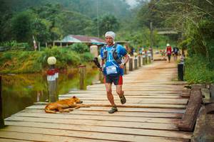 BIB: 
                            <button type="button" onclick="openModal(25159672)" class="btn btn-primary btn-sm float-right btn-popup" data-toggle="modal" data-target=".modal-high-quality">
                        <i class="fas fa-shopping-cart"></i> Add to Cart
                    </button>
                                            <button type="button" onclick="isThisMe(25159672, true)" class="btn btn-success btn-sm float-right btn-popup btn-isme hidden" data-toggle="tooltip" data-placement="bottom" title="นี่คือรูปของคุณใช่ไหม คลิกที่นี่เพื่อเอาเข้าอัลบั้ม">
                        <i class="fas fa-plus"></i> Add to album
                    </button>
                    <button type="button" onclick="isThisMe(25159672, false)" class="btn btn-warning btn-sm float-right btn-popup btn-isnotme hidden">
                        <i class="fas fa-ban"></i> Remove from album
                    </button>