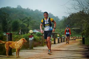 BIB: 
                            <button type="button" onclick="openModal(25108938)" class="btn btn-primary btn-sm float-right btn-popup" data-toggle="modal" data-target=".modal-high-quality">
                        <i class="fas fa-shopping-cart"></i> Add to Cart
                    </button>
                                            <button type="button" onclick="isThisMe(25108938, true)" class="btn btn-success btn-sm float-right btn-popup btn-isme hidden" data-toggle="tooltip" data-placement="bottom" title="นี่คือรูปของคุณใช่ไหม คลิกที่นี่เพื่อเอาเข้าอัลบั้ม">
                        <i class="fas fa-plus"></i> Add to album
                    </button>
                    <button type="button" onclick="isThisMe(25108938, false)" class="btn btn-warning btn-sm float-right btn-popup btn-isnotme hidden">
                        <i class="fas fa-ban"></i> Remove from album
                    </button>