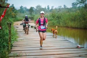 BIB: 
                            <button type="button" onclick="openModal(25171384)" class="btn btn-primary btn-sm float-right btn-popup" data-toggle="modal" data-target=".modal-high-quality">
                        <i class="fas fa-shopping-cart"></i> Add to Cart
                    </button>
                                            <button type="button" onclick="isThisMe(25171384, true)" class="btn btn-success btn-sm float-right btn-popup btn-isme hidden" data-toggle="tooltip" data-placement="bottom" title="นี่คือรูปของคุณใช่ไหม คลิกที่นี่เพื่อเอาเข้าอัลบั้ม">
                        <i class="fas fa-plus"></i> Add to album
                    </button>
                    <button type="button" onclick="isThisMe(25171384, false)" class="btn btn-warning btn-sm float-right btn-popup btn-isnotme hidden">
                        <i class="fas fa-ban"></i> Remove from album
                    </button>