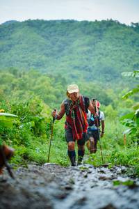 BIB: 
                            <button type="button" onclick="openModal(25172752)" class="btn btn-primary btn-sm float-right btn-popup" data-toggle="modal" data-target=".modal-high-quality">
                        <i class="fas fa-shopping-cart"></i> Add to Cart
                    </button>
                                            <button type="button" onclick="isThisMe(25172752, true)" class="btn btn-success btn-sm float-right btn-popup btn-isme hidden" data-toggle="tooltip" data-placement="bottom" title="นี่คือรูปของคุณใช่ไหม คลิกที่นี่เพื่อเอาเข้าอัลบั้ม">
                        <i class="fas fa-plus"></i> Add to album
                    </button>
                    <button type="button" onclick="isThisMe(25172752, false)" class="btn btn-warning btn-sm float-right btn-popup btn-isnotme hidden">
                        <i class="fas fa-ban"></i> Remove from album
                    </button>