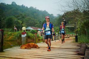 BIB: 
                            <button type="button" onclick="openModal(25158244)" class="btn btn-primary btn-sm float-right btn-popup" data-toggle="modal" data-target=".modal-high-quality">
                        <i class="fas fa-shopping-cart"></i> Add to Cart
                    </button>
                                            <button type="button" onclick="isThisMe(25158244, true)" class="btn btn-success btn-sm float-right btn-popup btn-isme hidden" data-toggle="tooltip" data-placement="bottom" title="นี่คือรูปของคุณใช่ไหม คลิกที่นี่เพื่อเอาเข้าอัลบั้ม">
                        <i class="fas fa-plus"></i> Add to album
                    </button>
                    <button type="button" onclick="isThisMe(25158244, false)" class="btn btn-warning btn-sm float-right btn-popup btn-isnotme hidden">
                        <i class="fas fa-ban"></i> Remove from album
                    </button>