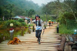 BIB: 
                            <button type="button" onclick="openModal(25159742)" class="btn btn-primary btn-sm float-right btn-popup" data-toggle="modal" data-target=".modal-high-quality">
                        <i class="fas fa-shopping-cart"></i> Add to Cart
                    </button>
                                            <button type="button" onclick="isThisMe(25159742, true)" class="btn btn-success btn-sm float-right btn-popup btn-isme hidden" data-toggle="tooltip" data-placement="bottom" title="นี่คือรูปของคุณใช่ไหม คลิกที่นี่เพื่อเอาเข้าอัลบั้ม">
                        <i class="fas fa-plus"></i> Add to album
                    </button>
                    <button type="button" onclick="isThisMe(25159742, false)" class="btn btn-warning btn-sm float-right btn-popup btn-isnotme hidden">
                        <i class="fas fa-ban"></i> Remove from album
                    </button>