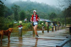 BIB: 
                            <button type="button" onclick="openModal(25161480)" class="btn btn-primary btn-sm float-right btn-popup" data-toggle="modal" data-target=".modal-high-quality">
                        <i class="fas fa-shopping-cart"></i> Add to Cart
                    </button>
                                            <button type="button" onclick="isThisMe(25161480, true)" class="btn btn-success btn-sm float-right btn-popup btn-isme hidden" data-toggle="tooltip" data-placement="bottom" title="นี่คือรูปของคุณใช่ไหม คลิกที่นี่เพื่อเอาเข้าอัลบั้ม">
                        <i class="fas fa-plus"></i> Add to album
                    </button>
                    <button type="button" onclick="isThisMe(25161480, false)" class="btn btn-warning btn-sm float-right btn-popup btn-isnotme hidden">
                        <i class="fas fa-ban"></i> Remove from album
                    </button>