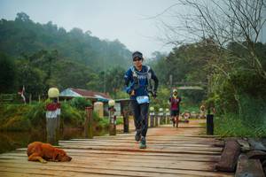 BIB: 
                            <button type="button" onclick="openModal(25118560)" class="btn btn-primary btn-sm float-right btn-popup" data-toggle="modal" data-target=".modal-high-quality">
                        <i class="fas fa-shopping-cart"></i> Add to Cart
                    </button>
                                            <button type="button" onclick="isThisMe(25118560, true)" class="btn btn-success btn-sm float-right btn-popup btn-isme hidden" data-toggle="tooltip" data-placement="bottom" title="นี่คือรูปของคุณใช่ไหม คลิกที่นี่เพื่อเอาเข้าอัลบั้ม">
                        <i class="fas fa-plus"></i> Add to album
                    </button>
                    <button type="button" onclick="isThisMe(25118560, false)" class="btn btn-warning btn-sm float-right btn-popup btn-isnotme hidden">
                        <i class="fas fa-ban"></i> Remove from album
                    </button>