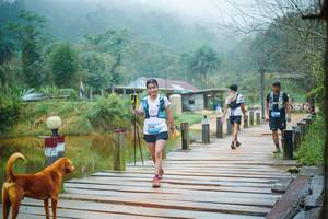 BIB: 
                            <button type="button" onclick="openModal(25171889)" class="btn btn-primary btn-sm float-right btn-popup" data-toggle="modal" data-target=".modal-high-quality">
                        <i class="fas fa-shopping-cart"></i> Add to Cart
                    </button>
                                            <button type="button" onclick="isThisMe(25171889, true)" class="btn btn-success btn-sm float-right btn-popup btn-isme hidden" data-toggle="tooltip" data-placement="bottom" title="นี่คือรูปของคุณใช่ไหม คลิกที่นี่เพื่อเอาเข้าอัลบั้ม">
                        <i class="fas fa-plus"></i> Add to album
                    </button>
                    <button type="button" onclick="isThisMe(25171889, false)" class="btn btn-warning btn-sm float-right btn-popup btn-isnotme hidden">
                        <i class="fas fa-ban"></i> Remove from album
                    </button>