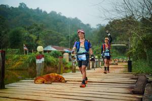 BIB: 
                            <button type="button" onclick="openModal(25158240)" class="btn btn-primary btn-sm float-right btn-popup" data-toggle="modal" data-target=".modal-high-quality">
                        <i class="fas fa-shopping-cart"></i> Add to Cart
                    </button>
                                            <button type="button" onclick="isThisMe(25158240, true)" class="btn btn-success btn-sm float-right btn-popup btn-isme hidden" data-toggle="tooltip" data-placement="bottom" title="นี่คือรูปของคุณใช่ไหม คลิกที่นี่เพื่อเอาเข้าอัลบั้ม">
                        <i class="fas fa-plus"></i> Add to album
                    </button>
                    <button type="button" onclick="isThisMe(25158240, false)" class="btn btn-warning btn-sm float-right btn-popup btn-isnotme hidden">
                        <i class="fas fa-ban"></i> Remove from album
                    </button>