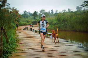 BIB: 
                            <button type="button" onclick="openModal(25156913)" class="btn btn-primary btn-sm float-right btn-popup" data-toggle="modal" data-target=".modal-high-quality">
                        <i class="fas fa-shopping-cart"></i> Add to Cart
                    </button>
                                            <button type="button" onclick="isThisMe(25156913, true)" class="btn btn-success btn-sm float-right btn-popup btn-isme hidden" data-toggle="tooltip" data-placement="bottom" title="นี่คือรูปของคุณใช่ไหม คลิกที่นี่เพื่อเอาเข้าอัลบั้ม">
                        <i class="fas fa-plus"></i> Add to album
                    </button>
                    <button type="button" onclick="isThisMe(25156913, false)" class="btn btn-warning btn-sm float-right btn-popup btn-isnotme hidden">
                        <i class="fas fa-ban"></i> Remove from album
                    </button>