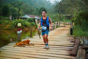 BIB: 
                            <button type="button" onclick="openModal(25159760)" class="btn btn-primary btn-sm float-right btn-popup" data-toggle="modal" data-target=".modal-high-quality">
                        <i class="fas fa-shopping-cart"></i> Add to Cart
                    </button>
                                            <button type="button" onclick="isThisMe(25159760, true)" class="btn btn-success btn-sm float-right btn-popup btn-isme hidden" data-toggle="tooltip" data-placement="bottom" title="นี่คือรูปของคุณใช่ไหม คลิกที่นี่เพื่อเอาเข้าอัลบั้ม">
                        <i class="fas fa-plus"></i> Add to album
                    </button>
                    <button type="button" onclick="isThisMe(25159760, false)" class="btn btn-warning btn-sm float-right btn-popup btn-isnotme hidden">
                        <i class="fas fa-ban"></i> Remove from album
                    </button>