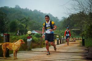 BIB: 
                            <button type="button" onclick="openModal(25108859)" class="btn btn-primary btn-sm float-right btn-popup" data-toggle="modal" data-target=".modal-high-quality">
                        <i class="fas fa-shopping-cart"></i> Add to Cart
                    </button>
                                            <button type="button" onclick="isThisMe(25108859, true)" class="btn btn-success btn-sm float-right btn-popup btn-isme hidden" data-toggle="tooltip" data-placement="bottom" title="นี่คือรูปของคุณใช่ไหม คลิกที่นี่เพื่อเอาเข้าอัลบั้ม">
                        <i class="fas fa-plus"></i> Add to album
                    </button>
                    <button type="button" onclick="isThisMe(25108859, false)" class="btn btn-warning btn-sm float-right btn-popup btn-isnotme hidden">
                        <i class="fas fa-ban"></i> Remove from album
                    </button>