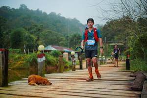 BIB: 
                            <button type="button" onclick="openModal(25115036)" class="btn btn-primary btn-sm float-right btn-popup" data-toggle="modal" data-target=".modal-high-quality">
                        <i class="fas fa-shopping-cart"></i> Add to Cart
                    </button>
                                            <button type="button" onclick="isThisMe(25115036, true)" class="btn btn-success btn-sm float-right btn-popup btn-isme hidden" data-toggle="tooltip" data-placement="bottom" title="นี่คือรูปของคุณใช่ไหม คลิกที่นี่เพื่อเอาเข้าอัลบั้ม">
                        <i class="fas fa-plus"></i> Add to album
                    </button>
                    <button type="button" onclick="isThisMe(25115036, false)" class="btn btn-warning btn-sm float-right btn-popup btn-isnotme hidden">
                        <i class="fas fa-ban"></i> Remove from album
                    </button>