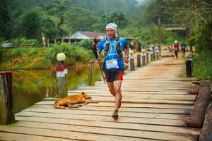 BIB: 
                            <button type="button" onclick="openModal(25159677)" class="btn btn-primary btn-sm float-right btn-popup" data-toggle="modal" data-target=".modal-high-quality">
                        <i class="fas fa-shopping-cart"></i> Add to Cart
                    </button>
                                            <button type="button" onclick="isThisMe(25159677, true)" class="btn btn-success btn-sm float-right btn-popup btn-isme hidden" data-toggle="tooltip" data-placement="bottom" title="นี่คือรูปของคุณใช่ไหม คลิกที่นี่เพื่อเอาเข้าอัลบั้ม">
                        <i class="fas fa-plus"></i> Add to album
                    </button>
                    <button type="button" onclick="isThisMe(25159677, false)" class="btn btn-warning btn-sm float-right btn-popup btn-isnotme hidden">
                        <i class="fas fa-ban"></i> Remove from album
                    </button>