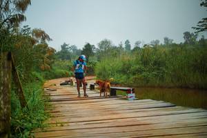 BIB: 
                            <button type="button" onclick="openModal(25109543)" class="btn btn-primary btn-sm float-right btn-popup" data-toggle="modal" data-target=".modal-high-quality">
                        <i class="fas fa-shopping-cart"></i> Add to Cart
                    </button>
                                            <button type="button" onclick="isThisMe(25109543, true)" class="btn btn-success btn-sm float-right btn-popup btn-isme hidden" data-toggle="tooltip" data-placement="bottom" title="นี่คือรูปของคุณใช่ไหม คลิกที่นี่เพื่อเอาเข้าอัลบั้ม">
                        <i class="fas fa-plus"></i> Add to album
                    </button>
                    <button type="button" onclick="isThisMe(25109543, false)" class="btn btn-warning btn-sm float-right btn-popup btn-isnotme hidden">
                        <i class="fas fa-ban"></i> Remove from album
                    </button>