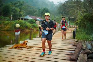 BIB: 
                            <button type="button" onclick="openModal(25159963)" class="btn btn-primary btn-sm float-right btn-popup" data-toggle="modal" data-target=".modal-high-quality">
                        <i class="fas fa-shopping-cart"></i> Add to Cart
                    </button>
                                            <button type="button" onclick="isThisMe(25159963, true)" class="btn btn-success btn-sm float-right btn-popup btn-isme hidden" data-toggle="tooltip" data-placement="bottom" title="นี่คือรูปของคุณใช่ไหม คลิกที่นี่เพื่อเอาเข้าอัลบั้ม">
                        <i class="fas fa-plus"></i> Add to album
                    </button>
                    <button type="button" onclick="isThisMe(25159963, false)" class="btn btn-warning btn-sm float-right btn-popup btn-isnotme hidden">
                        <i class="fas fa-ban"></i> Remove from album
                    </button>