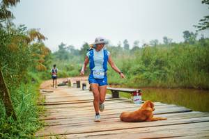 BIB: 
                            <button type="button" onclick="openModal(25106631)" class="btn btn-primary btn-sm float-right btn-popup" data-toggle="modal" data-target=".modal-high-quality">
                        <i class="fas fa-shopping-cart"></i> Add to Cart
                    </button>
                                            <button type="button" onclick="isThisMe(25106631, true)" class="btn btn-success btn-sm float-right btn-popup btn-isme hidden" data-toggle="tooltip" data-placement="bottom" title="นี่คือรูปของคุณใช่ไหม คลิกที่นี่เพื่อเอาเข้าอัลบั้ม">
                        <i class="fas fa-plus"></i> Add to album
                    </button>
                    <button type="button" onclick="isThisMe(25106631, false)" class="btn btn-warning btn-sm float-right btn-popup btn-isnotme hidden">
                        <i class="fas fa-ban"></i> Remove from album
                    </button>