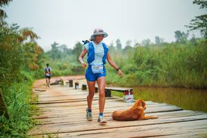 BIB: 
                            <button type="button" onclick="openModal(25106718)" class="btn btn-primary btn-sm float-right btn-popup" data-toggle="modal" data-target=".modal-high-quality">
                        <i class="fas fa-shopping-cart"></i> Add to Cart
                    </button>
                                            <button type="button" onclick="isThisMe(25106718, true)" class="btn btn-success btn-sm float-right btn-popup btn-isme hidden" data-toggle="tooltip" data-placement="bottom" title="นี่คือรูปของคุณใช่ไหม คลิกที่นี่เพื่อเอาเข้าอัลบั้ม">
                        <i class="fas fa-plus"></i> Add to album
                    </button>
                    <button type="button" onclick="isThisMe(25106718, false)" class="btn btn-warning btn-sm float-right btn-popup btn-isnotme hidden">
                        <i class="fas fa-ban"></i> Remove from album
                    </button>