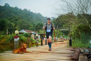 BIB: 
                            <button type="button" onclick="openModal(25158043)" class="btn btn-primary btn-sm float-right btn-popup" data-toggle="modal" data-target=".modal-high-quality">
                        <i class="fas fa-shopping-cart"></i> Add to Cart
                    </button>
                                            <button type="button" onclick="isThisMe(25158043, true)" class="btn btn-success btn-sm float-right btn-popup btn-isme hidden" data-toggle="tooltip" data-placement="bottom" title="นี่คือรูปของคุณใช่ไหม คลิกที่นี่เพื่อเอาเข้าอัลบั้ม">
                        <i class="fas fa-plus"></i> Add to album
                    </button>
                    <button type="button" onclick="isThisMe(25158043, false)" class="btn btn-warning btn-sm float-right btn-popup btn-isnotme hidden">
                        <i class="fas fa-ban"></i> Remove from album
                    </button>