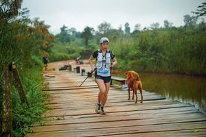 BIB: 
                            <button type="button" onclick="openModal(25156896)" class="btn btn-primary btn-sm float-right btn-popup" data-toggle="modal" data-target=".modal-high-quality">
                        <i class="fas fa-shopping-cart"></i> Add to Cart
                    </button>
                                            <button type="button" onclick="isThisMe(25156896, true)" class="btn btn-success btn-sm float-right btn-popup btn-isme hidden" data-toggle="tooltip" data-placement="bottom" title="นี่คือรูปของคุณใช่ไหม คลิกที่นี่เพื่อเอาเข้าอัลบั้ม">
                        <i class="fas fa-plus"></i> Add to album
                    </button>
                    <button type="button" onclick="isThisMe(25156896, false)" class="btn btn-warning btn-sm float-right btn-popup btn-isnotme hidden">
                        <i class="fas fa-ban"></i> Remove from album
                    </button>