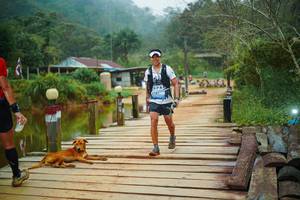 BIB: 
                            <button type="button" onclick="openModal(25159813)" class="btn btn-primary btn-sm float-right btn-popup" data-toggle="modal" data-target=".modal-high-quality">
                        <i class="fas fa-shopping-cart"></i> Add to Cart
                    </button>
                                            <button type="button" onclick="isThisMe(25159813, true)" class="btn btn-success btn-sm float-right btn-popup btn-isme hidden" data-toggle="tooltip" data-placement="bottom" title="นี่คือรูปของคุณใช่ไหม คลิกที่นี่เพื่อเอาเข้าอัลบั้ม">
                        <i class="fas fa-plus"></i> Add to album
                    </button>
                    <button type="button" onclick="isThisMe(25159813, false)" class="btn btn-warning btn-sm float-right btn-popup btn-isnotme hidden">
                        <i class="fas fa-ban"></i> Remove from album
                    </button>