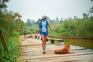 BIB: 
                            <button type="button" onclick="openModal(25106634)" class="btn btn-primary btn-sm float-right btn-popup" data-toggle="modal" data-target=".modal-high-quality">
                        <i class="fas fa-shopping-cart"></i> Add to Cart
                    </button>
                                            <button type="button" onclick="isThisMe(25106634, true)" class="btn btn-success btn-sm float-right btn-popup btn-isme hidden" data-toggle="tooltip" data-placement="bottom" title="นี่คือรูปของคุณใช่ไหม คลิกที่นี่เพื่อเอาเข้าอัลบั้ม">
                        <i class="fas fa-plus"></i> Add to album
                    </button>
                    <button type="button" onclick="isThisMe(25106634, false)" class="btn btn-warning btn-sm float-right btn-popup btn-isnotme hidden">
                        <i class="fas fa-ban"></i> Remove from album
                    </button>