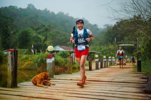 BIB: 
                            <button type="button" onclick="openModal(25111225)" class="btn btn-primary btn-sm float-right btn-popup" data-toggle="modal" data-target=".modal-high-quality">
                        <i class="fas fa-shopping-cart"></i> Add to Cart
                    </button>
                                            <button type="button" onclick="isThisMe(25111225, true)" class="btn btn-success btn-sm float-right btn-popup btn-isme hidden" data-toggle="tooltip" data-placement="bottom" title="นี่คือรูปของคุณใช่ไหม คลิกที่นี่เพื่อเอาเข้าอัลบั้ม">
                        <i class="fas fa-plus"></i> Add to album
                    </button>
                    <button type="button" onclick="isThisMe(25111225, false)" class="btn btn-warning btn-sm float-right btn-popup btn-isnotme hidden">
                        <i class="fas fa-ban"></i> Remove from album
                    </button>