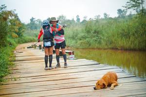 BIB: 
                            <button type="button" onclick="openModal(25129263)" class="btn btn-primary btn-sm float-right btn-popup" data-toggle="modal" data-target=".modal-high-quality">
                        <i class="fas fa-shopping-cart"></i> Add to Cart
                    </button>
                                            <button type="button" onclick="isThisMe(25129263, true)" class="btn btn-success btn-sm float-right btn-popup btn-isme hidden" data-toggle="tooltip" data-placement="bottom" title="นี่คือรูปของคุณใช่ไหม คลิกที่นี่เพื่อเอาเข้าอัลบั้ม">
                        <i class="fas fa-plus"></i> Add to album
                    </button>
                    <button type="button" onclick="isThisMe(25129263, false)" class="btn btn-warning btn-sm float-right btn-popup btn-isnotme hidden">
                        <i class="fas fa-ban"></i> Remove from album
                    </button>