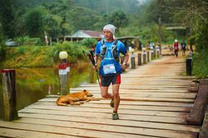 BIB: 
                            <button type="button" onclick="openModal(25159678)" class="btn btn-primary btn-sm float-right btn-popup" data-toggle="modal" data-target=".modal-high-quality">
                        <i class="fas fa-shopping-cart"></i> Add to Cart
                    </button>
                                            <button type="button" onclick="isThisMe(25159678, true)" class="btn btn-success btn-sm float-right btn-popup btn-isme hidden" data-toggle="tooltip" data-placement="bottom" title="นี่คือรูปของคุณใช่ไหม คลิกที่นี่เพื่อเอาเข้าอัลบั้ม">
                        <i class="fas fa-plus"></i> Add to album
                    </button>
                    <button type="button" onclick="isThisMe(25159678, false)" class="btn btn-warning btn-sm float-right btn-popup btn-isnotme hidden">
                        <i class="fas fa-ban"></i> Remove from album
                    </button>