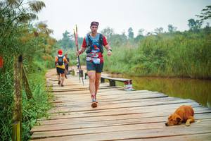 BIB: 
                            <button type="button" onclick="openModal(25130866)" class="btn btn-primary btn-sm float-right btn-popup" data-toggle="modal" data-target=".modal-high-quality">
                        <i class="fas fa-shopping-cart"></i> Add to Cart
                    </button>
                                            <button type="button" onclick="isThisMe(25130866, true)" class="btn btn-success btn-sm float-right btn-popup btn-isme hidden" data-toggle="tooltip" data-placement="bottom" title="นี่คือรูปของคุณใช่ไหม คลิกที่นี่เพื่อเอาเข้าอัลบั้ม">
                        <i class="fas fa-plus"></i> Add to album
                    </button>
                    <button type="button" onclick="isThisMe(25130866, false)" class="btn btn-warning btn-sm float-right btn-popup btn-isnotme hidden">
                        <i class="fas fa-ban"></i> Remove from album
                    </button>