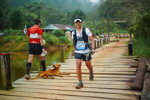 BIB: 
                            <button type="button" onclick="openModal(25159832)" class="btn btn-primary btn-sm float-right btn-popup" data-toggle="modal" data-target=".modal-high-quality">
                        <i class="fas fa-shopping-cart"></i> Add to Cart
                    </button>
                                            <button type="button" onclick="isThisMe(25159832, true)" class="btn btn-success btn-sm float-right btn-popup btn-isme hidden" data-toggle="tooltip" data-placement="bottom" title="นี่คือรูปของคุณใช่ไหม คลิกที่นี่เพื่อเอาเข้าอัลบั้ม">
                        <i class="fas fa-plus"></i> Add to album
                    </button>
                    <button type="button" onclick="isThisMe(25159832, false)" class="btn btn-warning btn-sm float-right btn-popup btn-isnotme hidden">
                        <i class="fas fa-ban"></i> Remove from album
                    </button>