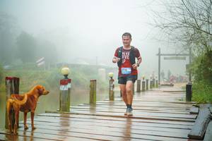 BIB: 
                            <button type="button" onclick="openModal(25163995)" class="btn btn-primary btn-sm float-right btn-popup" data-toggle="modal" data-target=".modal-high-quality">
                        <i class="fas fa-shopping-cart"></i> Add to Cart
                    </button>
                                            <button type="button" onclick="isThisMe(25163995, true)" class="btn btn-success btn-sm float-right btn-popup btn-isme hidden" data-toggle="tooltip" data-placement="bottom" title="นี่คือรูปของคุณใช่ไหม คลิกที่นี่เพื่อเอาเข้าอัลบั้ม">
                        <i class="fas fa-plus"></i> Add to album
                    </button>
                    <button type="button" onclick="isThisMe(25163995, false)" class="btn btn-warning btn-sm float-right btn-popup btn-isnotme hidden">
                        <i class="fas fa-ban"></i> Remove from album
                    </button>