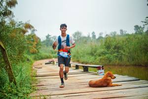 BIB: 
                            <button type="button" onclick="openModal(25106746)" class="btn btn-primary btn-sm float-right btn-popup" data-toggle="modal" data-target=".modal-high-quality">
                        <i class="fas fa-shopping-cart"></i> Add to Cart
                    </button>
                                            <button type="button" onclick="isThisMe(25106746, true)" class="btn btn-success btn-sm float-right btn-popup btn-isme hidden" data-toggle="tooltip" data-placement="bottom" title="นี่คือรูปของคุณใช่ไหม คลิกที่นี่เพื่อเอาเข้าอัลบั้ม">
                        <i class="fas fa-plus"></i> Add to album
                    </button>
                    <button type="button" onclick="isThisMe(25106746, false)" class="btn btn-warning btn-sm float-right btn-popup btn-isnotme hidden">
                        <i class="fas fa-ban"></i> Remove from album
                    </button>