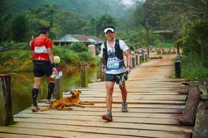 BIB: 
                            <button type="button" onclick="openModal(25159823)" class="btn btn-primary btn-sm float-right btn-popup" data-toggle="modal" data-target=".modal-high-quality">
                        <i class="fas fa-shopping-cart"></i> Add to Cart
                    </button>
                                            <button type="button" onclick="isThisMe(25159823, true)" class="btn btn-success btn-sm float-right btn-popup btn-isme hidden" data-toggle="tooltip" data-placement="bottom" title="นี่คือรูปของคุณใช่ไหม คลิกที่นี่เพื่อเอาเข้าอัลบั้ม">
                        <i class="fas fa-plus"></i> Add to album
                    </button>
                    <button type="button" onclick="isThisMe(25159823, false)" class="btn btn-warning btn-sm float-right btn-popup btn-isnotme hidden">
                        <i class="fas fa-ban"></i> Remove from album
                    </button>