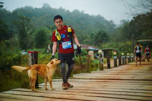 BIB: 
                            <button type="button" onclick="openModal(25108806)" class="btn btn-primary btn-sm float-right btn-popup" data-toggle="modal" data-target=".modal-high-quality">
                        <i class="fas fa-shopping-cart"></i> Add to Cart
                    </button>
                                            <button type="button" onclick="isThisMe(25108806, true)" class="btn btn-success btn-sm float-right btn-popup btn-isme hidden" data-toggle="tooltip" data-placement="bottom" title="นี่คือรูปของคุณใช่ไหม คลิกที่นี่เพื่อเอาเข้าอัลบั้ม">
                        <i class="fas fa-plus"></i> Add to album
                    </button>
                    <button type="button" onclick="isThisMe(25108806, false)" class="btn btn-warning btn-sm float-right btn-popup btn-isnotme hidden">
                        <i class="fas fa-ban"></i> Remove from album
                    </button>