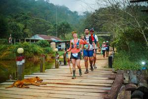 BIB: 
                            <button type="button" onclick="openModal(25160794)" class="btn btn-primary btn-sm float-right btn-popup" data-toggle="modal" data-target=".modal-high-quality">
                        <i class="fas fa-shopping-cart"></i> Add to Cart
                    </button>
                                            <button type="button" onclick="isThisMe(25160794, true)" class="btn btn-success btn-sm float-right btn-popup btn-isme hidden" data-toggle="tooltip" data-placement="bottom" title="นี่คือรูปของคุณใช่ไหม คลิกที่นี่เพื่อเอาเข้าอัลบั้ม">
                        <i class="fas fa-plus"></i> Add to album
                    </button>
                    <button type="button" onclick="isThisMe(25160794, false)" class="btn btn-warning btn-sm float-right btn-popup btn-isnotme hidden">
                        <i class="fas fa-ban"></i> Remove from album
                    </button>