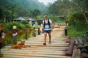 BIB: 
                            <button type="button" onclick="openModal(25159811)" class="btn btn-primary btn-sm float-right btn-popup" data-toggle="modal" data-target=".modal-high-quality">
                        <i class="fas fa-shopping-cart"></i> Add to Cart
                    </button>
                                            <button type="button" onclick="isThisMe(25159811, true)" class="btn btn-success btn-sm float-right btn-popup btn-isme hidden" data-toggle="tooltip" data-placement="bottom" title="นี่คือรูปของคุณใช่ไหม คลิกที่นี่เพื่อเอาเข้าอัลบั้ม">
                        <i class="fas fa-plus"></i> Add to album
                    </button>
                    <button type="button" onclick="isThisMe(25159811, false)" class="btn btn-warning btn-sm float-right btn-popup btn-isnotme hidden">
                        <i class="fas fa-ban"></i> Remove from album
                    </button>