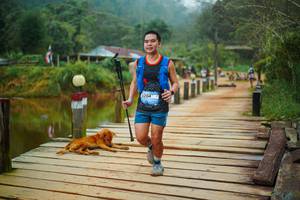 BIB: 
                            <button type="button" onclick="openModal(25159777)" class="btn btn-primary btn-sm float-right btn-popup" data-toggle="modal" data-target=".modal-high-quality">
                        <i class="fas fa-shopping-cart"></i> Add to Cart
                    </button>
                                            <button type="button" onclick="isThisMe(25159777, true)" class="btn btn-success btn-sm float-right btn-popup btn-isme hidden" data-toggle="tooltip" data-placement="bottom" title="นี่คือรูปของคุณใช่ไหม คลิกที่นี่เพื่อเอาเข้าอัลบั้ม">
                        <i class="fas fa-plus"></i> Add to album
                    </button>
                    <button type="button" onclick="isThisMe(25159777, false)" class="btn btn-warning btn-sm float-right btn-popup btn-isnotme hidden">
                        <i class="fas fa-ban"></i> Remove from album
                    </button>