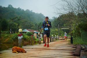 BIB: 
                            <button type="button" onclick="openModal(25117278)" class="btn btn-primary btn-sm float-right btn-popup" data-toggle="modal" data-target=".modal-high-quality">
                        <i class="fas fa-shopping-cart"></i> Add to Cart
                    </button>
                                            <button type="button" onclick="isThisMe(25117278, true)" class="btn btn-success btn-sm float-right btn-popup btn-isme hidden" data-toggle="tooltip" data-placement="bottom" title="นี่คือรูปของคุณใช่ไหม คลิกที่นี่เพื่อเอาเข้าอัลบั้ม">
                        <i class="fas fa-plus"></i> Add to album
                    </button>
                    <button type="button" onclick="isThisMe(25117278, false)" class="btn btn-warning btn-sm float-right btn-popup btn-isnotme hidden">
                        <i class="fas fa-ban"></i> Remove from album
                    </button>