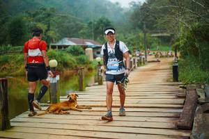 BIB: 
                            <button type="button" onclick="openModal(25159814)" class="btn btn-primary btn-sm float-right btn-popup" data-toggle="modal" data-target=".modal-high-quality">
                        <i class="fas fa-shopping-cart"></i> Add to Cart
                    </button>
                                            <button type="button" onclick="isThisMe(25159814, true)" class="btn btn-success btn-sm float-right btn-popup btn-isme hidden" data-toggle="tooltip" data-placement="bottom" title="นี่คือรูปของคุณใช่ไหม คลิกที่นี่เพื่อเอาเข้าอัลบั้ม">
                        <i class="fas fa-plus"></i> Add to album
                    </button>
                    <button type="button" onclick="isThisMe(25159814, false)" class="btn btn-warning btn-sm float-right btn-popup btn-isnotme hidden">
                        <i class="fas fa-ban"></i> Remove from album
                    </button>