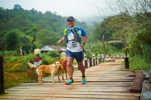 BIB: 
                            <button type="button" onclick="openModal(25121783)" class="btn btn-primary btn-sm float-right btn-popup" data-toggle="modal" data-target=".modal-high-quality">
                        <i class="fas fa-shopping-cart"></i> Add to Cart
                    </button>
                                            <button type="button" onclick="isThisMe(25121783, true)" class="btn btn-success btn-sm float-right btn-popup btn-isme hidden" data-toggle="tooltip" data-placement="bottom" title="นี่คือรูปของคุณใช่ไหม คลิกที่นี่เพื่อเอาเข้าอัลบั้ม">
                        <i class="fas fa-plus"></i> Add to album
                    </button>
                    <button type="button" onclick="isThisMe(25121783, false)" class="btn btn-warning btn-sm float-right btn-popup btn-isnotme hidden">
                        <i class="fas fa-ban"></i> Remove from album
                    </button>