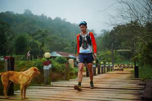 BIB: 
                            <button type="button" onclick="openModal(25109252)" class="btn btn-primary btn-sm float-right btn-popup" data-toggle="modal" data-target=".modal-high-quality">
                        <i class="fas fa-shopping-cart"></i> Add to Cart
                    </button>
                                            <button type="button" onclick="isThisMe(25109252, true)" class="btn btn-success btn-sm float-right btn-popup btn-isme hidden" data-toggle="tooltip" data-placement="bottom" title="นี่คือรูปของคุณใช่ไหม คลิกที่นี่เพื่อเอาเข้าอัลบั้ม">
                        <i class="fas fa-plus"></i> Add to album
                    </button>
                    <button type="button" onclick="isThisMe(25109252, false)" class="btn btn-warning btn-sm float-right btn-popup btn-isnotme hidden">
                        <i class="fas fa-ban"></i> Remove from album
                    </button>