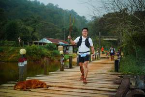 BIB: 
                            <button type="button" onclick="openModal(25158796)" class="btn btn-primary btn-sm float-right btn-popup" data-toggle="modal" data-target=".modal-high-quality">
                        <i class="fas fa-shopping-cart"></i> Add to Cart
                    </button>
                                            <button type="button" onclick="isThisMe(25158796, true)" class="btn btn-success btn-sm float-right btn-popup btn-isme hidden" data-toggle="tooltip" data-placement="bottom" title="นี่คือรูปของคุณใช่ไหม คลิกที่นี่เพื่อเอาเข้าอัลบั้ม">
                        <i class="fas fa-plus"></i> Add to album
                    </button>
                    <button type="button" onclick="isThisMe(25158796, false)" class="btn btn-warning btn-sm float-right btn-popup btn-isnotme hidden">
                        <i class="fas fa-ban"></i> Remove from album
                    </button>