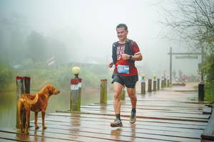 BIB: 
                            <button type="button" onclick="openModal(25164094)" class="btn btn-primary btn-sm float-right btn-popup" data-toggle="modal" data-target=".modal-high-quality">
                        <i class="fas fa-shopping-cart"></i> Add to Cart
                    </button>
                                            <button type="button" onclick="isThisMe(25164094, true)" class="btn btn-success btn-sm float-right btn-popup btn-isme hidden" data-toggle="tooltip" data-placement="bottom" title="นี่คือรูปของคุณใช่ไหม คลิกที่นี่เพื่อเอาเข้าอัลบั้ม">
                        <i class="fas fa-plus"></i> Add to album
                    </button>
                    <button type="button" onclick="isThisMe(25164094, false)" class="btn btn-warning btn-sm float-right btn-popup btn-isnotme hidden">
                        <i class="fas fa-ban"></i> Remove from album
                    </button>