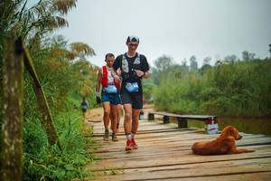 BIB: 
                            <button type="button" onclick="openModal(25106504)" class="btn btn-primary btn-sm float-right btn-popup" data-toggle="modal" data-target=".modal-high-quality">
                        <i class="fas fa-shopping-cart"></i> Add to Cart
                    </button>
                                            <button type="button" onclick="isThisMe(25106504, true)" class="btn btn-success btn-sm float-right btn-popup btn-isme hidden" data-toggle="tooltip" data-placement="bottom" title="นี่คือรูปของคุณใช่ไหม คลิกที่นี่เพื่อเอาเข้าอัลบั้ม">
                        <i class="fas fa-plus"></i> Add to album
                    </button>
                    <button type="button" onclick="isThisMe(25106504, false)" class="btn btn-warning btn-sm float-right btn-popup btn-isnotme hidden">
                        <i class="fas fa-ban"></i> Remove from album
                    </button>