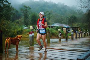 BIB: 
                            <button type="button" onclick="openModal(25161514)" class="btn btn-primary btn-sm float-right btn-popup" data-toggle="modal" data-target=".modal-high-quality">
                        <i class="fas fa-shopping-cart"></i> Add to Cart
                    </button>
                                            <button type="button" onclick="isThisMe(25161514, true)" class="btn btn-success btn-sm float-right btn-popup btn-isme hidden" data-toggle="tooltip" data-placement="bottom" title="นี่คือรูปของคุณใช่ไหม คลิกที่นี่เพื่อเอาเข้าอัลบั้ม">
                        <i class="fas fa-plus"></i> Add to album
                    </button>
                    <button type="button" onclick="isThisMe(25161514, false)" class="btn btn-warning btn-sm float-right btn-popup btn-isnotme hidden">
                        <i class="fas fa-ban"></i> Remove from album
                    </button>